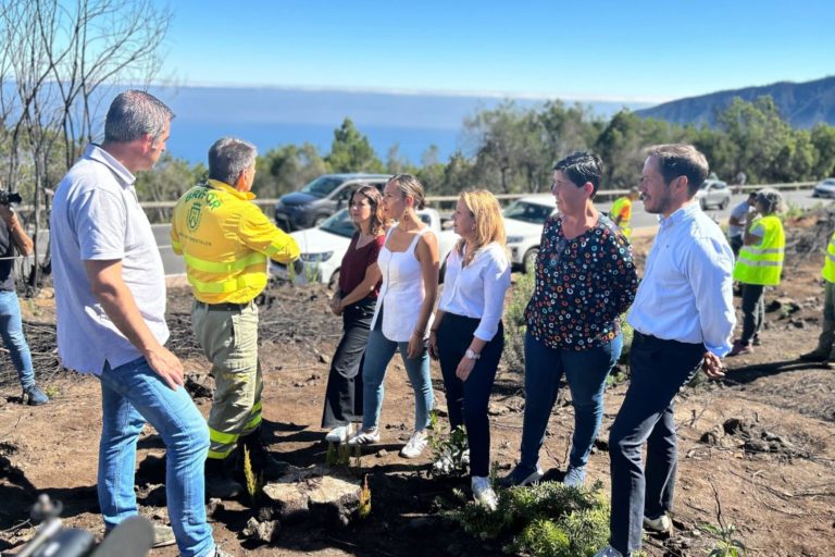 Visita zona incendiadas Tenerife 180624