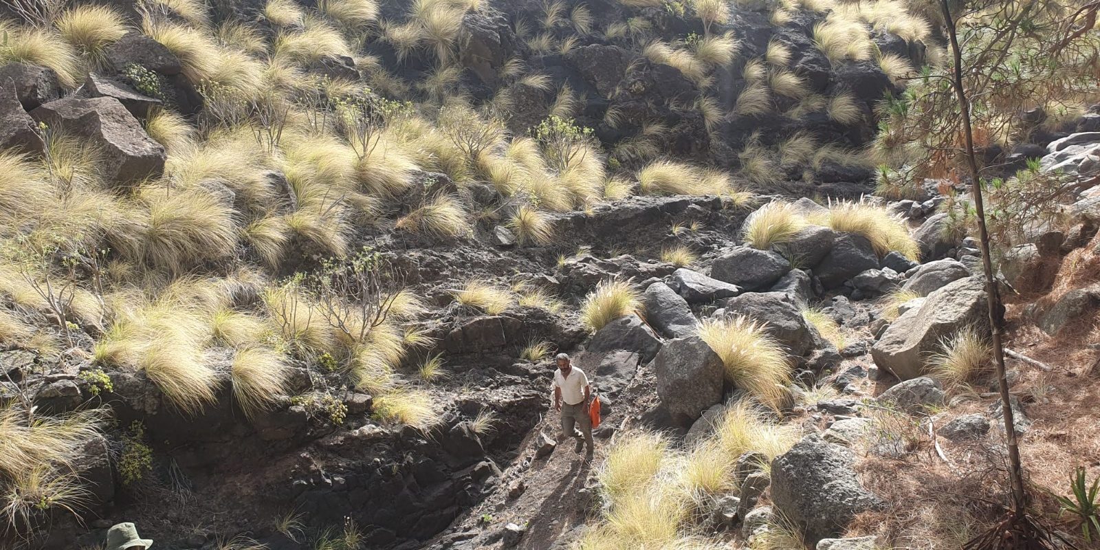 Zona de actuación en el Barranco de Majona