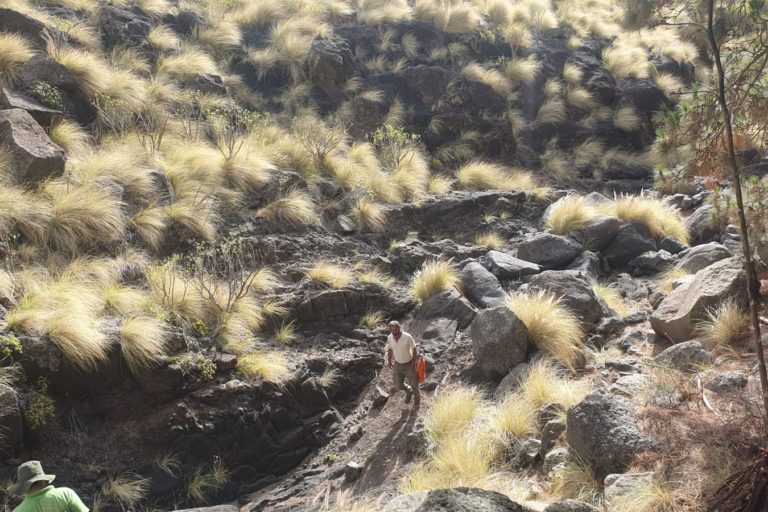 Zona de actuación en el Barranco de Majona