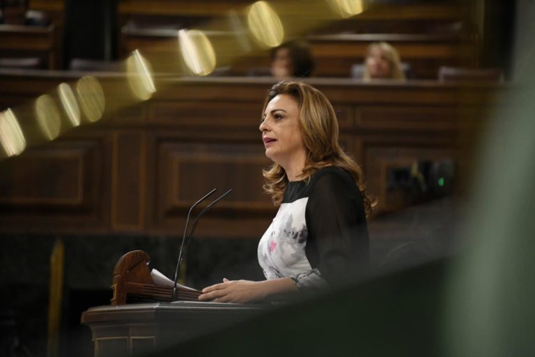 El ‘caso Koldo’ y la reforma feminista del Reglamento del Congreso a debate en el Pleno