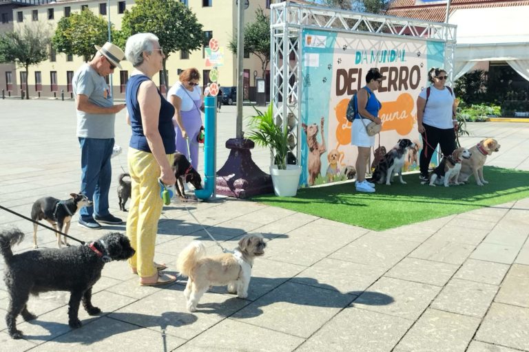 Día del Perro 6