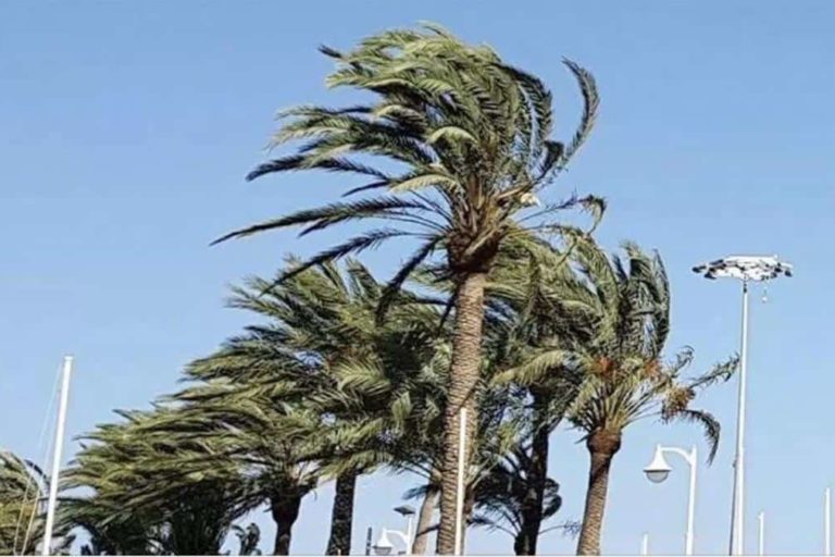 FINALIZA LA PREALERTA POR VIENTOS EN CANARIAS 13-7-24