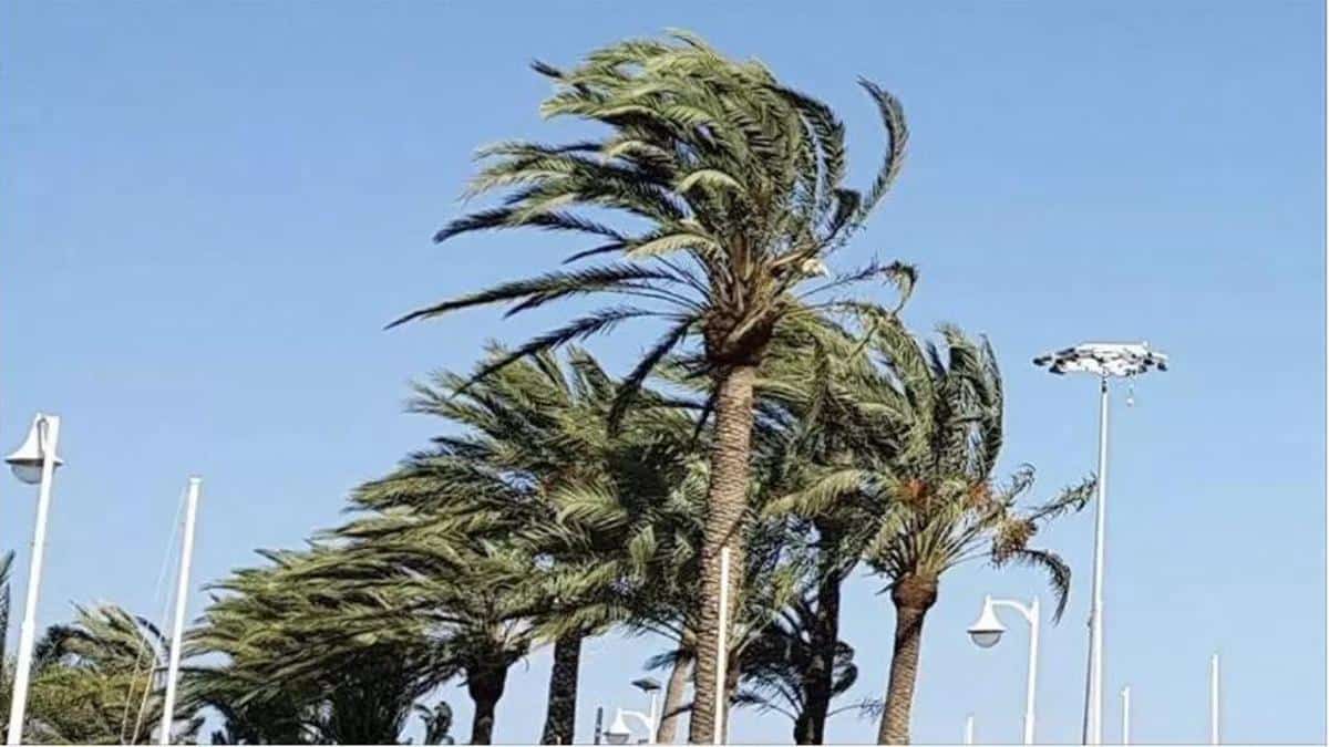 FINALIZA LA PREALERTA POR VIENTOS EN CANARIAS 13-7-24