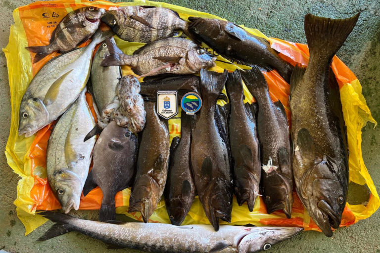INCAUTAN 55 KILOS DE PESCADO EN LA ZONA DE RESERVA MARINA-EL HIERRO 19-7-24