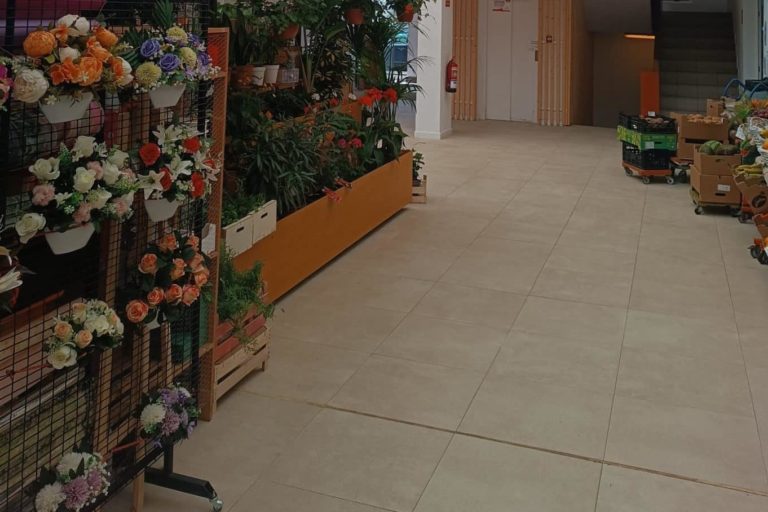 Obras Mercado Municipal