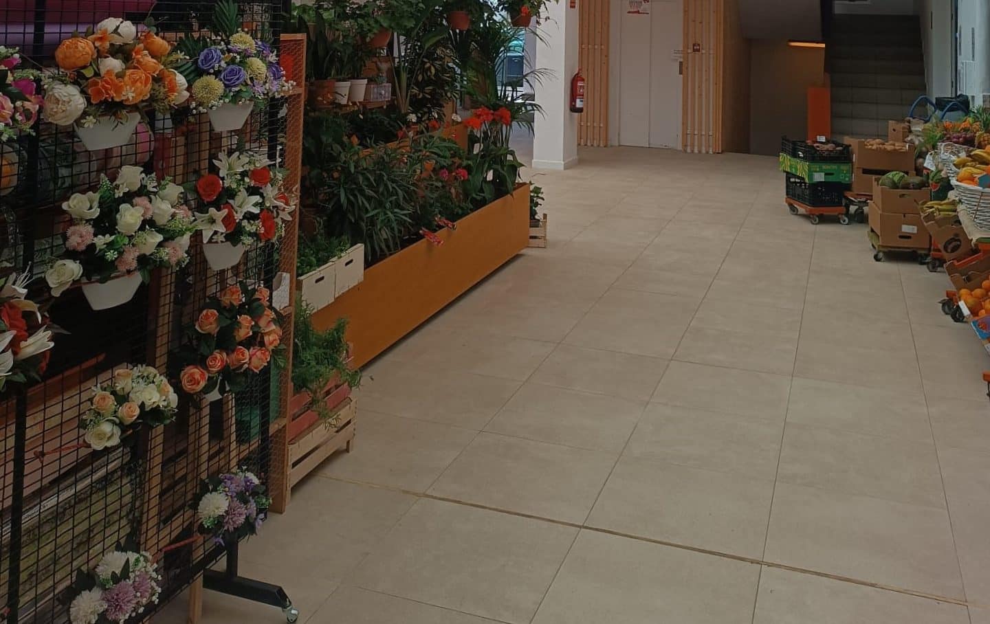 Obras Mercado Municipal