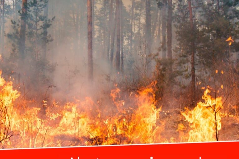 PREALERTA POR RIESGO DE INCENDIOS FORESTALES 21-7-24
