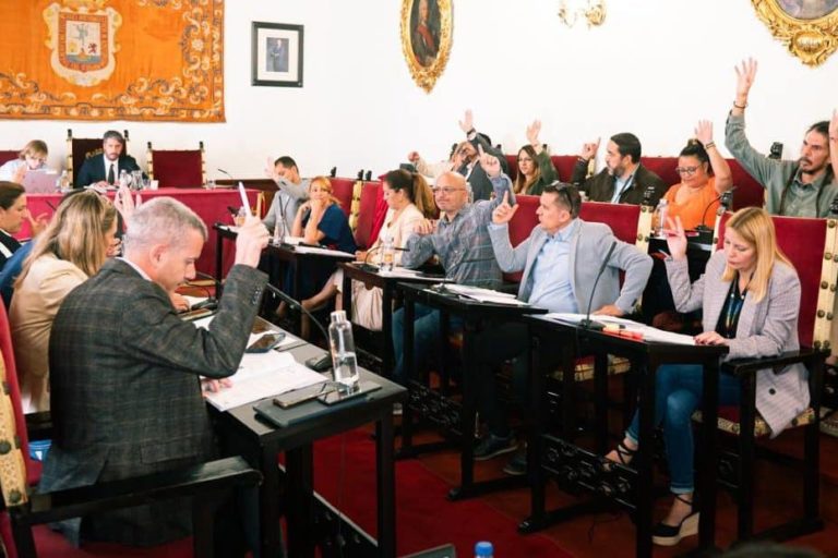Pleno Municipal de La Laguna