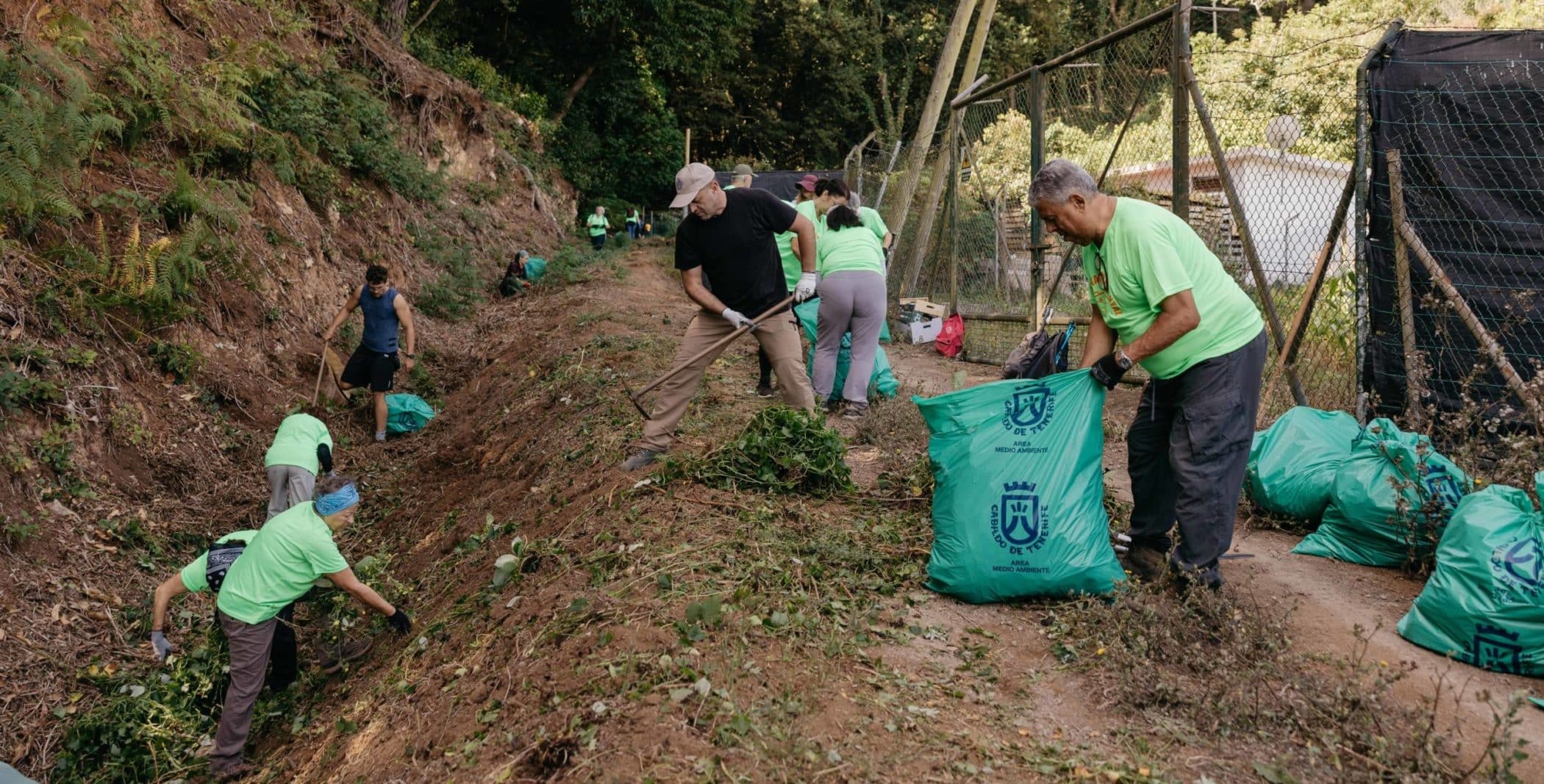 Voluntariado Ambiental- Tacoronte