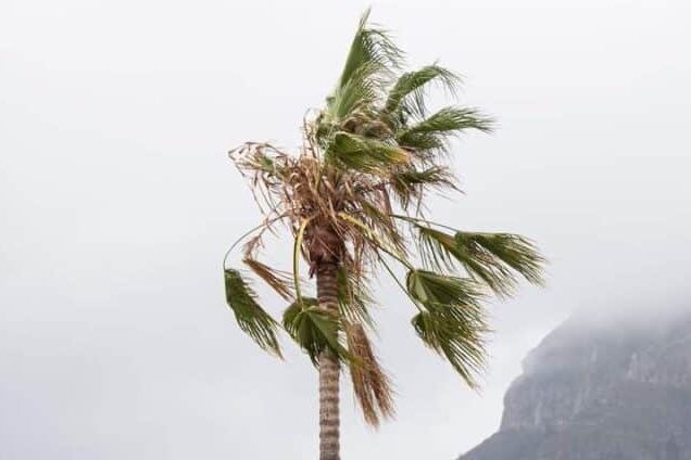 190824 Vientos en La Gomera