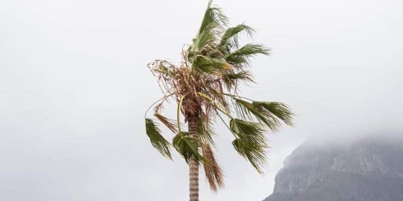 190824 Vientos en La Gomera