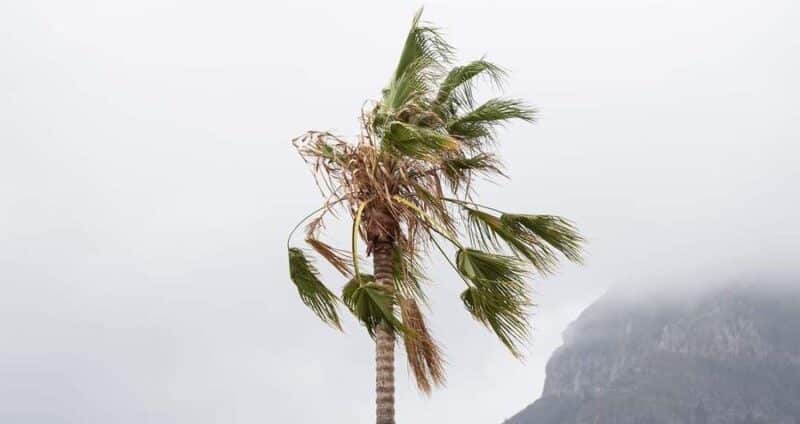 190824 Vientos en La Gomera