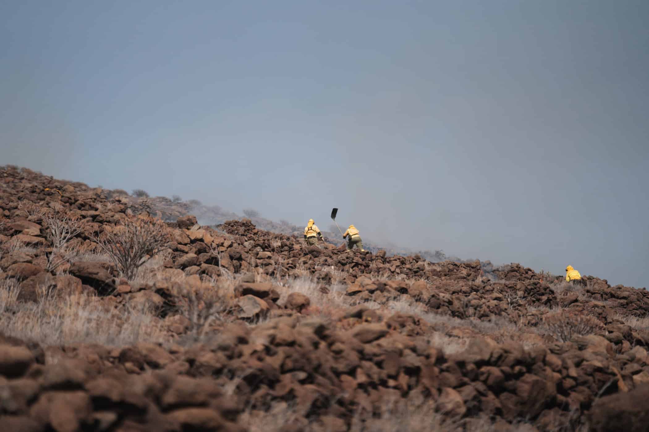 230824 Imagen de archivo. Conato de incendio en la localidad gomera de Arguayoda