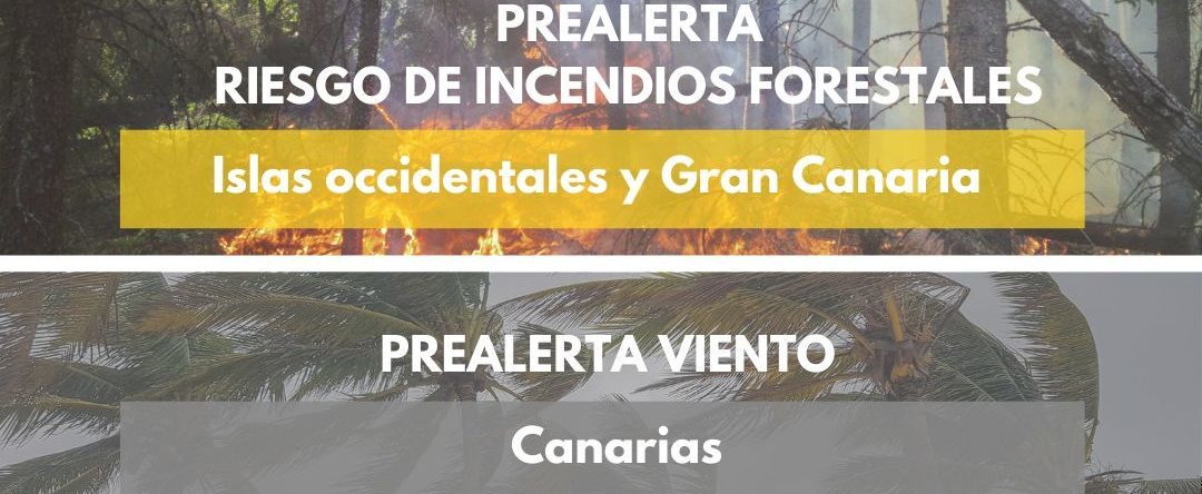 ACTUALIZACIÓN DEL TIEMPO EN CANARIAS-AVISOS 14-8-24