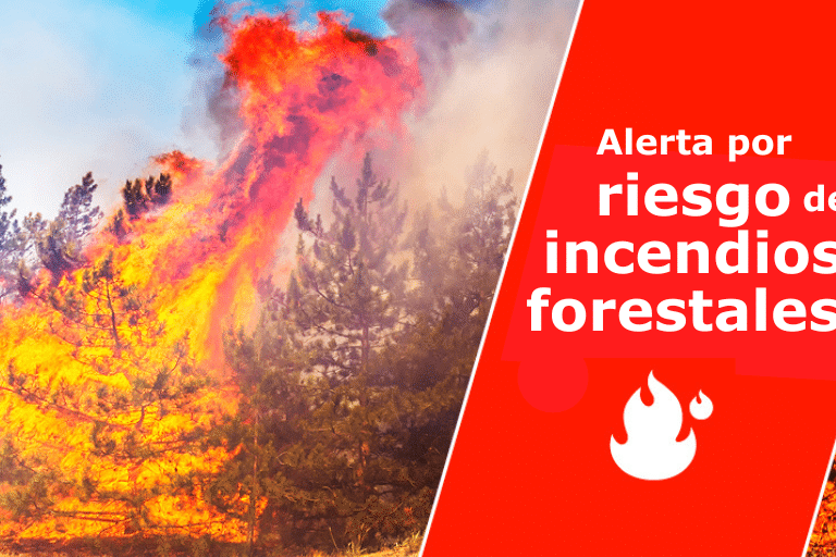 ALERTA POR RIESGO DE INCENDIOS FORESTALES EN CANARIAS 16-8-24