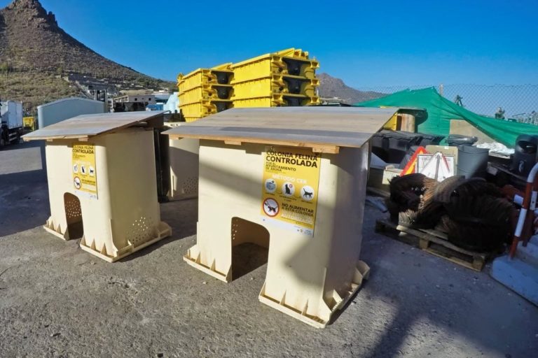 Arona Colonia Felina Controlada 1