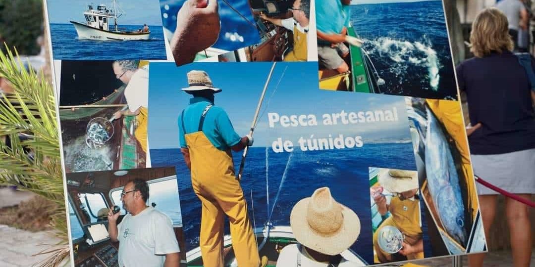 Arona Feria Pescado 3