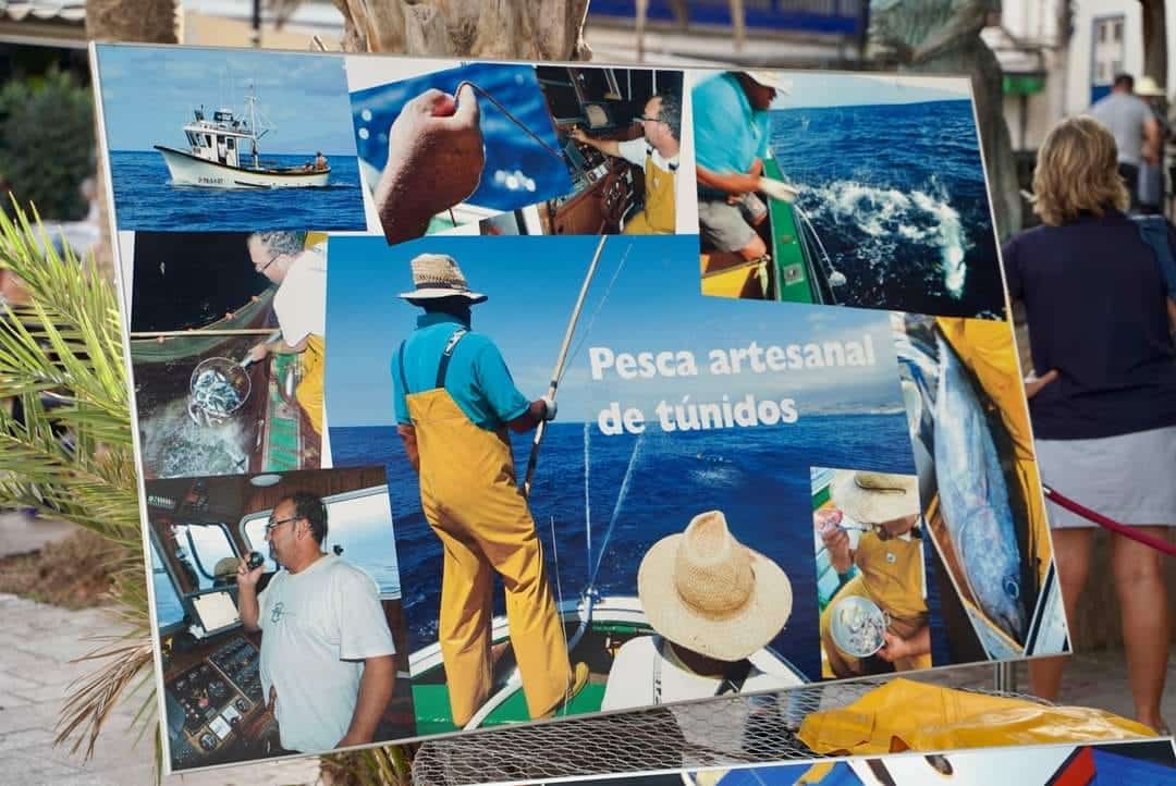 Arona Feria Pescado 3