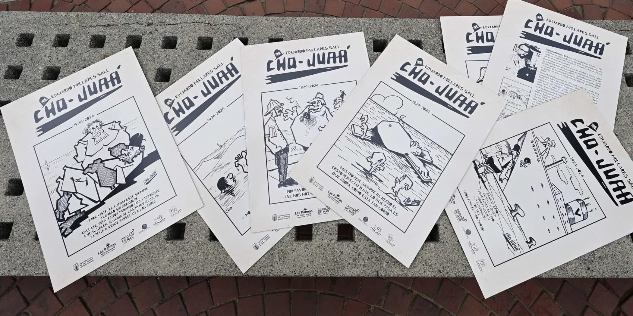 Campaña Cho Juaá