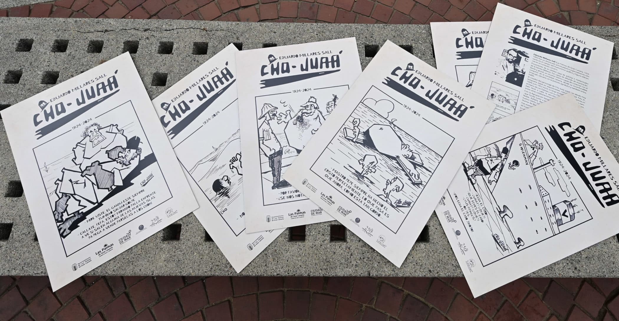 Campaña Cho Juaá