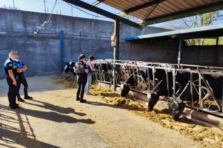 LA POLICÍA AUTONÓMICA LOCALIZA EN UNA GRANJA DE TENERIFE CADÁVERES DE ANIMALES 29-8-24
