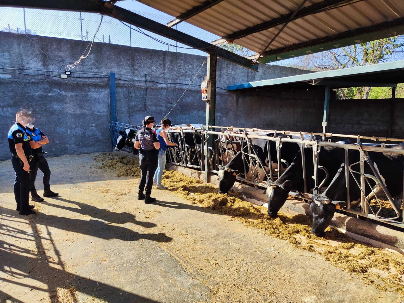 LA POLICÍA AUTONÓMICA LOCALIZA EN UNA GRANJA DE TENERIFE CADÁVERES DE ANIMALES 29-8-24