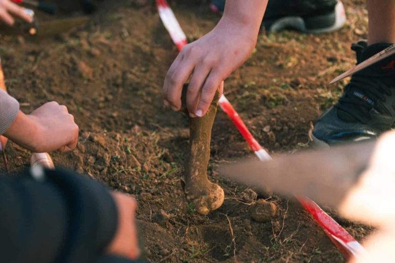 Talleres_Arqueología_Escolares