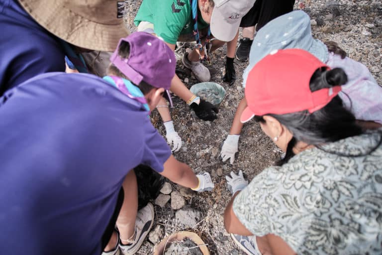 Voluntariado Ambiental 00