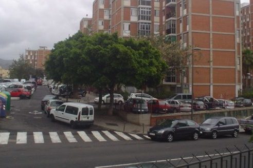 240924 Los Gladiolos