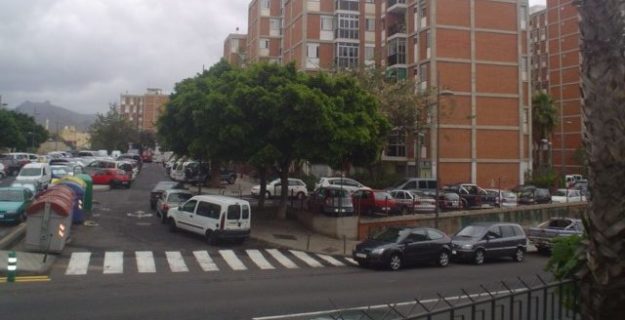 240924 Los Gladiolos