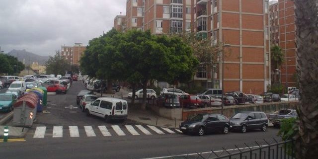 240924 Los Gladiolos