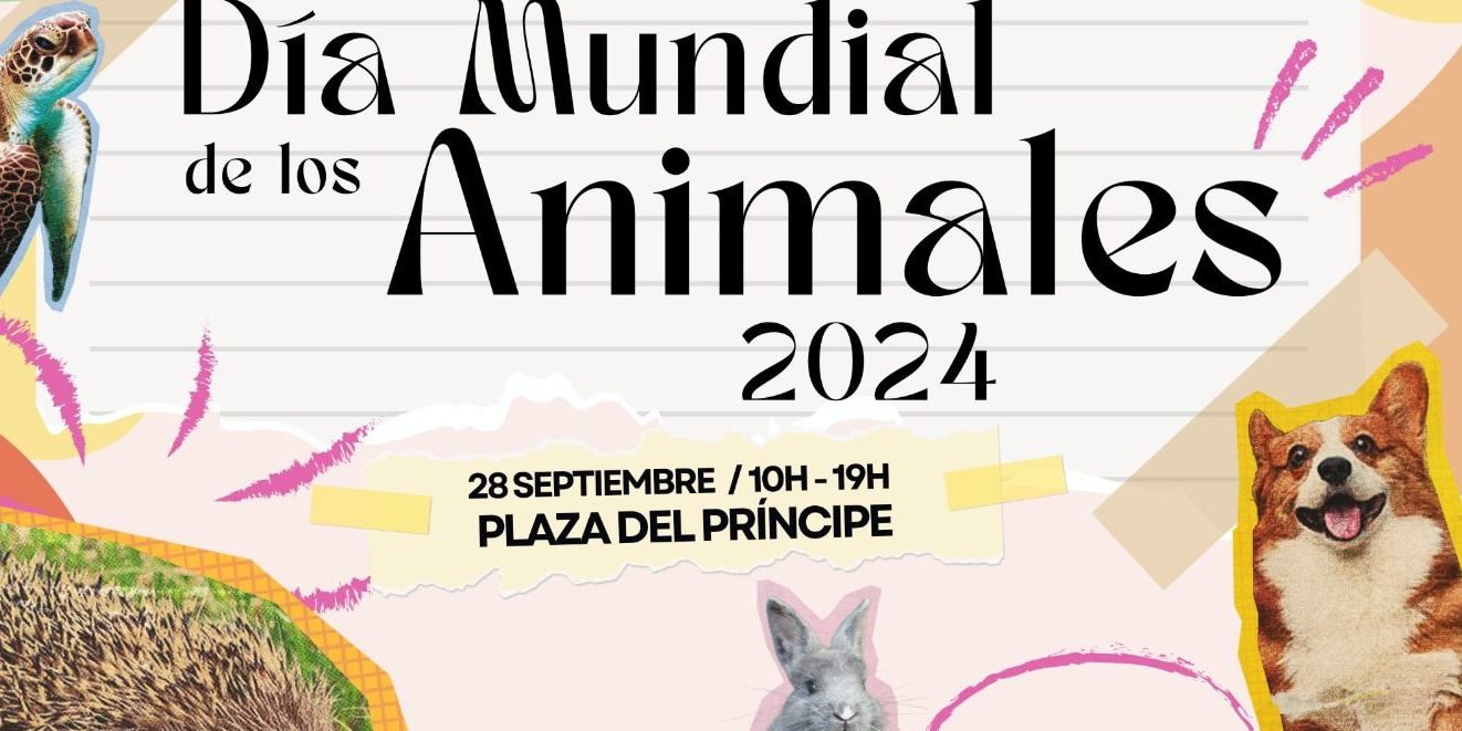 240926 Animales (1)