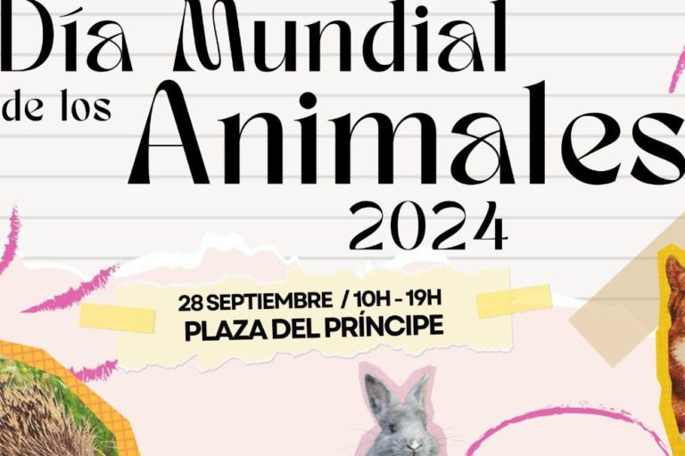 240926 Animales (1)