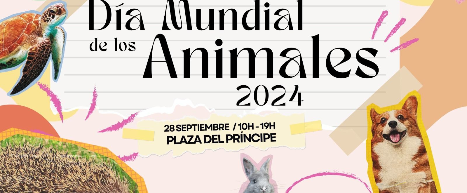 240926 Animales (1)