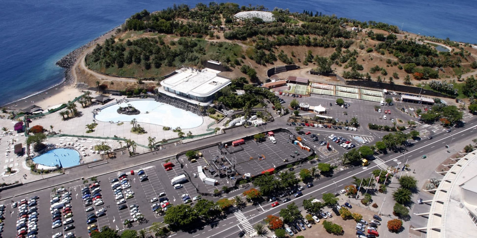 240930 Visitas guiadas al Palmetum