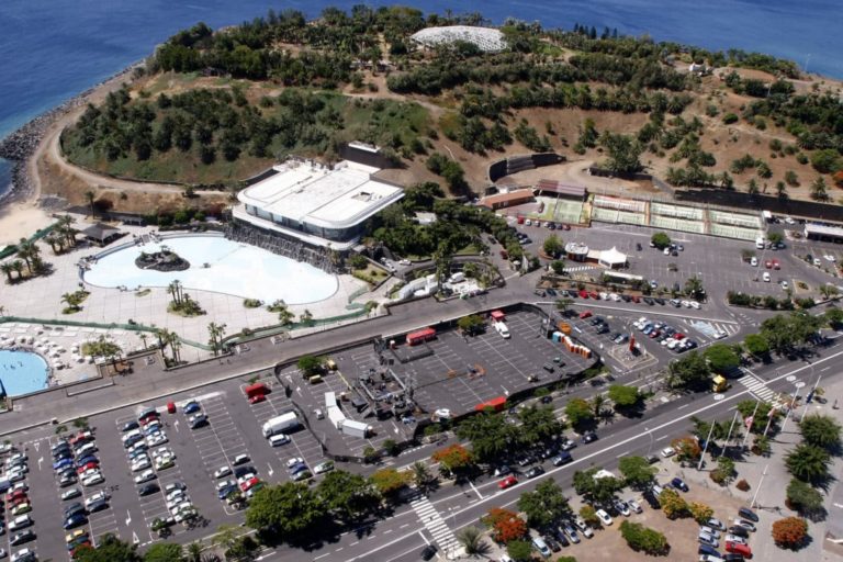 240930 Visitas guiadas al Palmetum