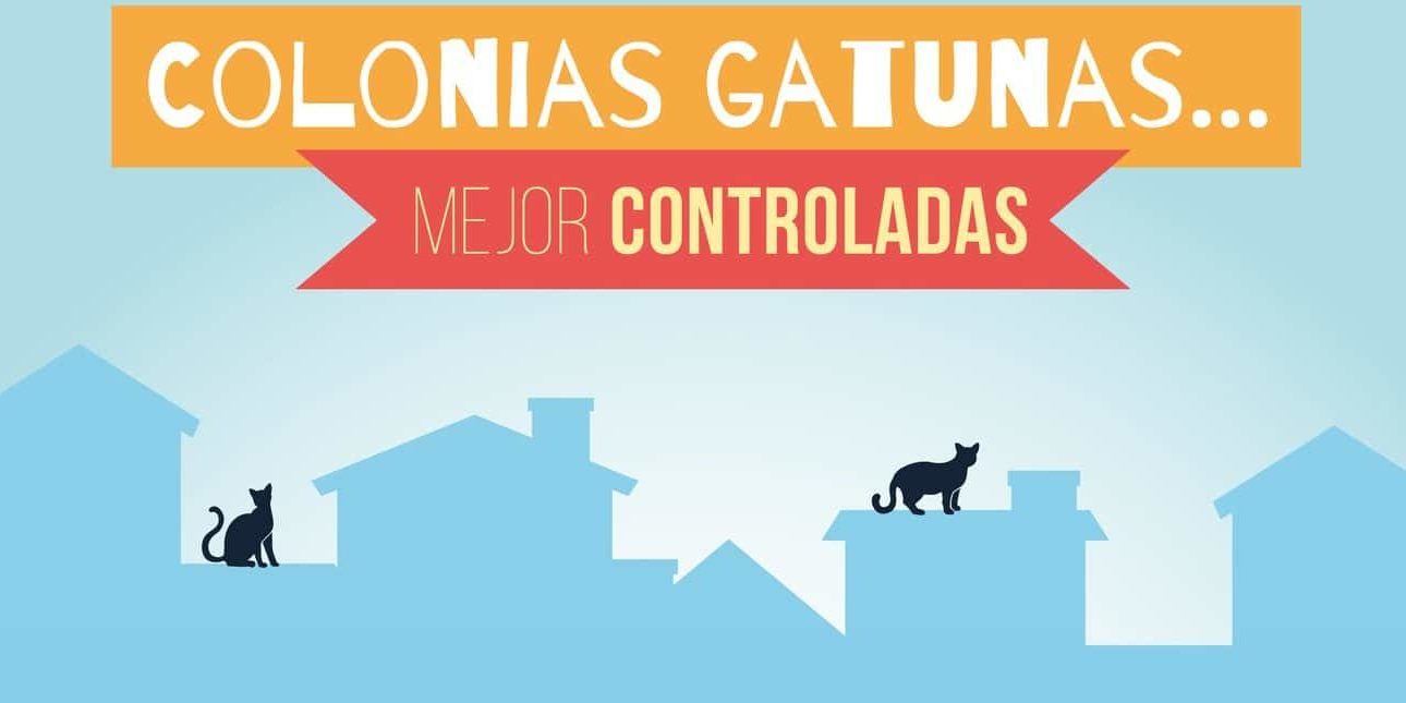 Cartel de la campaña sobre colonias gatunas en Santiago del Teide