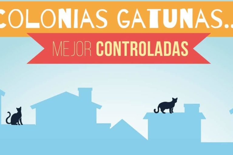 Cartel de la campaña sobre colonias gatunas en Santiago del Teide