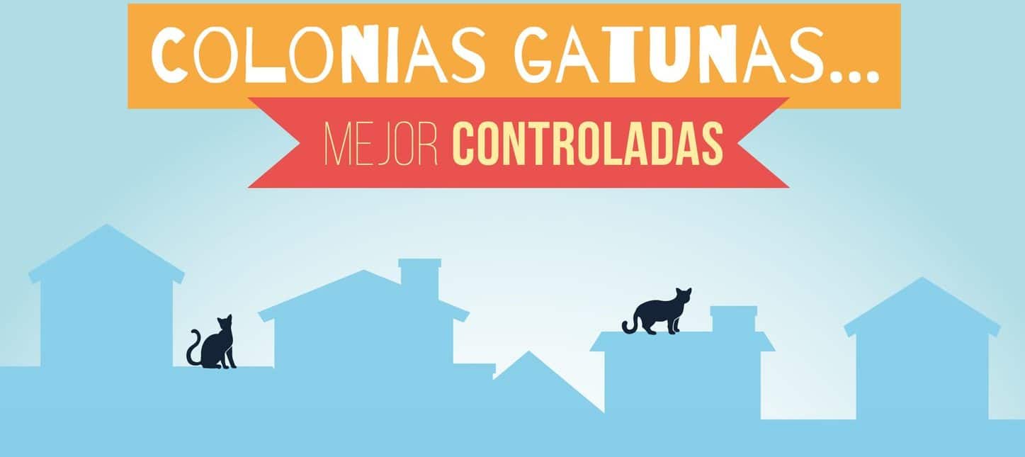 Cartel de la campaña sobre colonias gatunas en Santiago del Teide