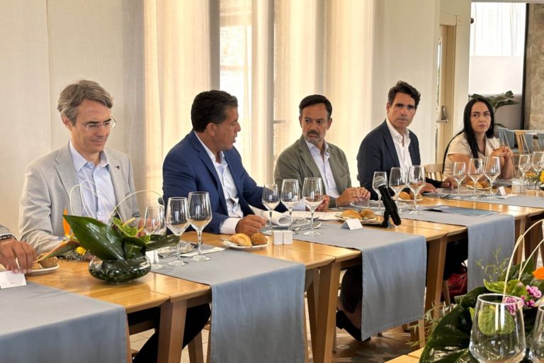 El vicepresidente del Cabildo de Tenerife, Lope Afonso, asiste a la reunión de la Junta Directiva del CEST