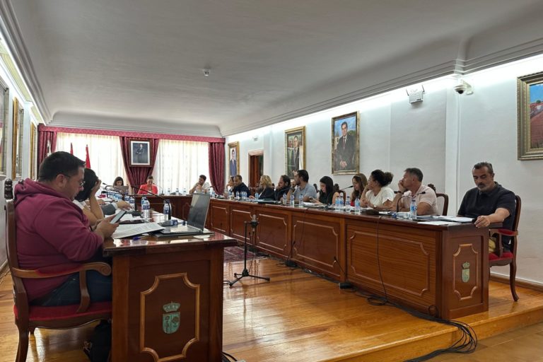 Pleno Ayuntamiento Arona septiembre 2024