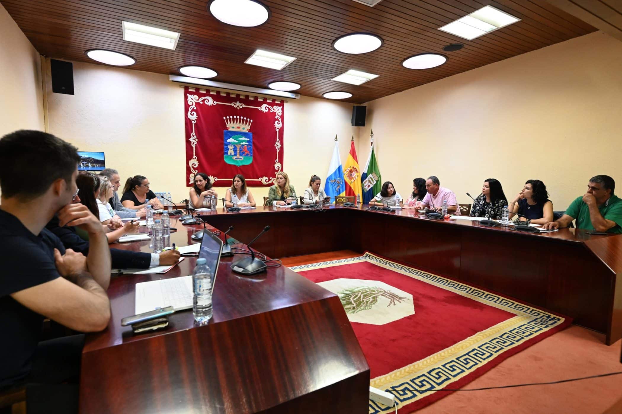 Reunión Mercado Local de Trabajo (EL HIERRO) 250924