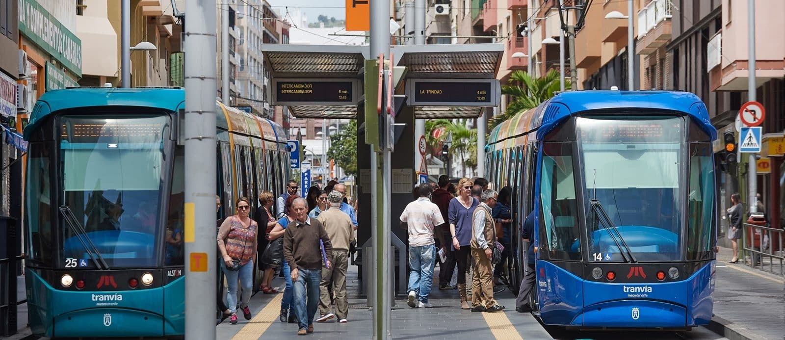 metrotenerife_tranvia (7)