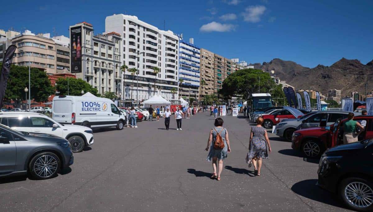 241024 Explanada onde se celebrará el Festival Isla Viva