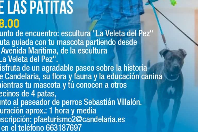 Agenda Octubre 2024 (Pantallas)-11