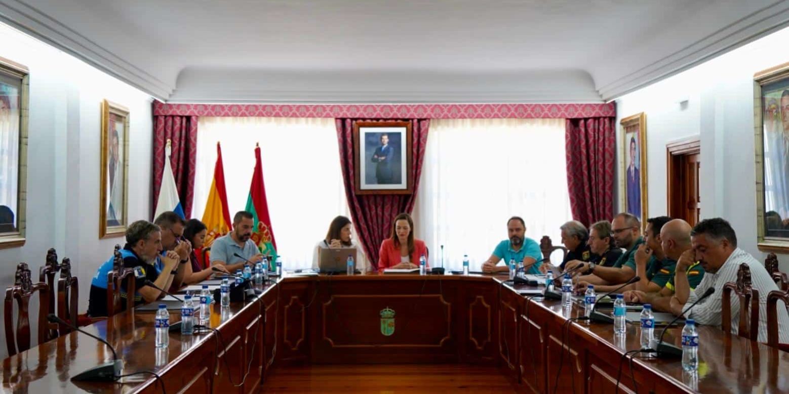 Arona Junta Local Seguridad