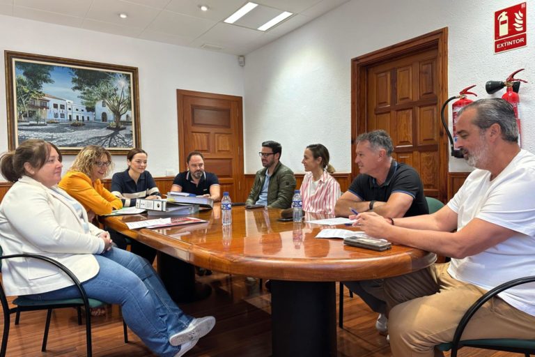 Arona, Reunión Grupo de Gobierno