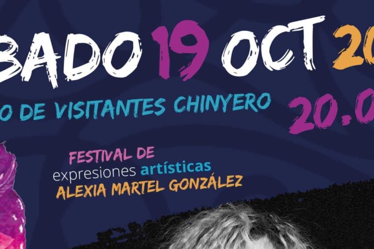 Cartel actuaciones artistas