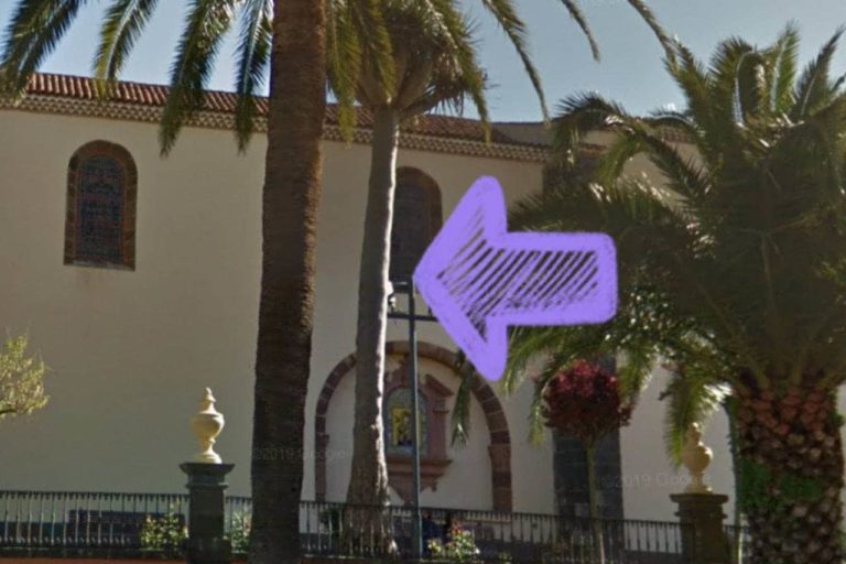 Drago en la zona de La Concepción