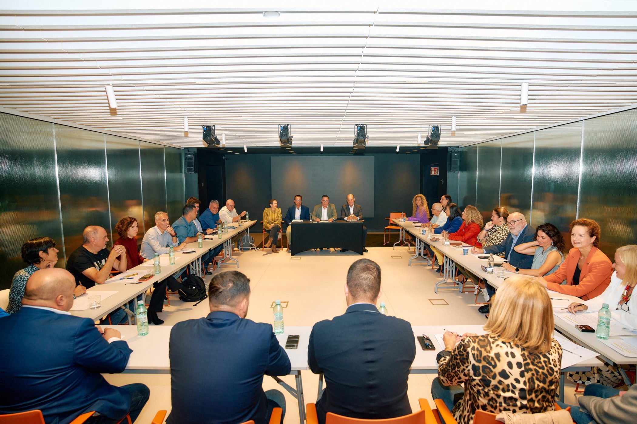 FOTO. Renovación del Consejo Canario del Deporte (4)